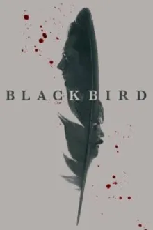 Постер к сериалу Чёрная птица