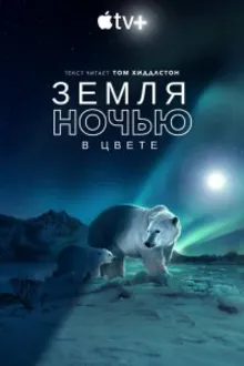 Постер к сериалу Земля ночью в цвете