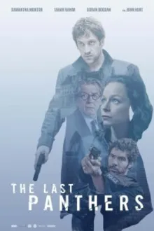 Постер к сериалу Последние пантеры