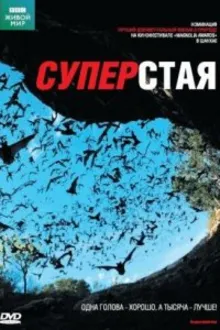 Постер к сериалу BBC: Суперстая