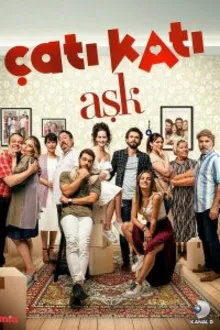 Постер к сериалу Любовь на крыше / Чердак любви