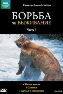 Постер к сериалу  BBC: Борьба за выживание 