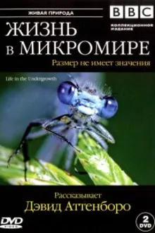 Постер к сериалу  BBC: Жизнь в микромире 