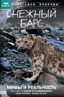 Постер к сериалу  BBC: Снежный барс: Мифы и реальности 