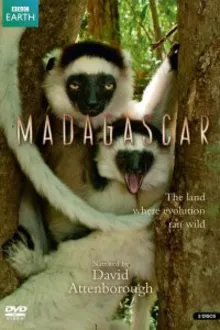 Постер к сериалу  BBC: Мадагаскар 