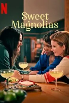Постер к сериалу  Милые магнолии 
