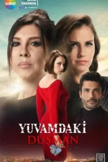 Постер к сериалу  Враг в моем доме 
