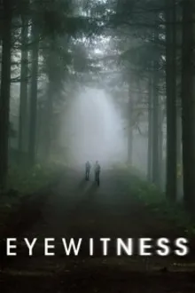 Постер к сериалу Свидетели