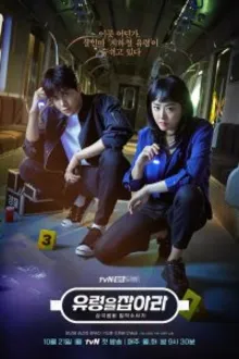Постер к сериалу  В погоне за призраком / Поймай призрака 