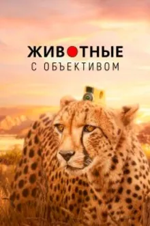 Постер к сериалу  Животные в объективе 