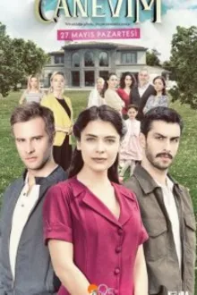 Постер к сериалу  Сокровенное 