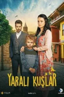 Постер к сериалу  Раненые птицы 