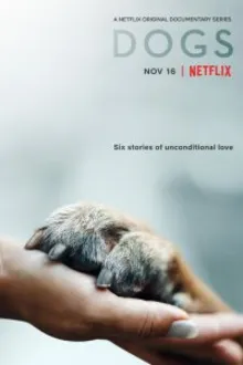 Постер к сериалу  Собаки 