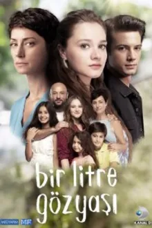 Постер к сериалу Один литр слёз