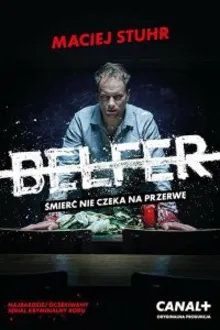 Постер к сериалу Польский учитель