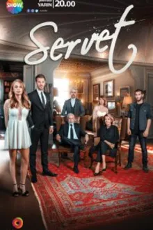 Постер к сериалу  Богатство 