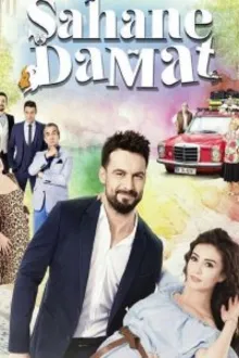 Постер к сериалу  Замечательный зять 