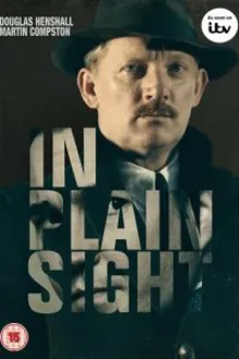 Постер к сериалу  На виду 