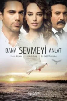 Постер к сериалу  Научи меня любить 