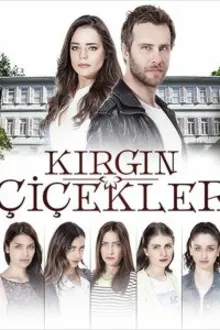 Постер к сериалу  Обиженные цветы 