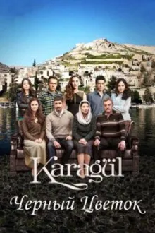 Постер к сериалу  Чёрный цветок / Чёрная роза 