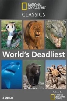 Постер к сериалу  National Geographic: Самые опасные животные 