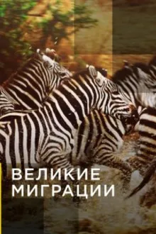 Постер к сериалу  Великие миграции 