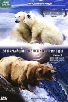 Постер к сериалу  Величайшие явления природы 
