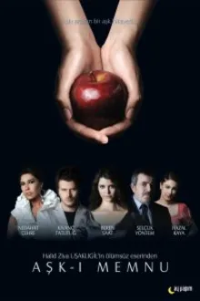Постер к сериалу  Запретная любовь 