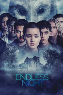 Постер к сериалу Бесконечная ночь