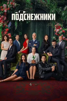 Постер к сериалу Подснежники