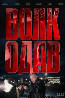 Постер к сериалу Волкодав